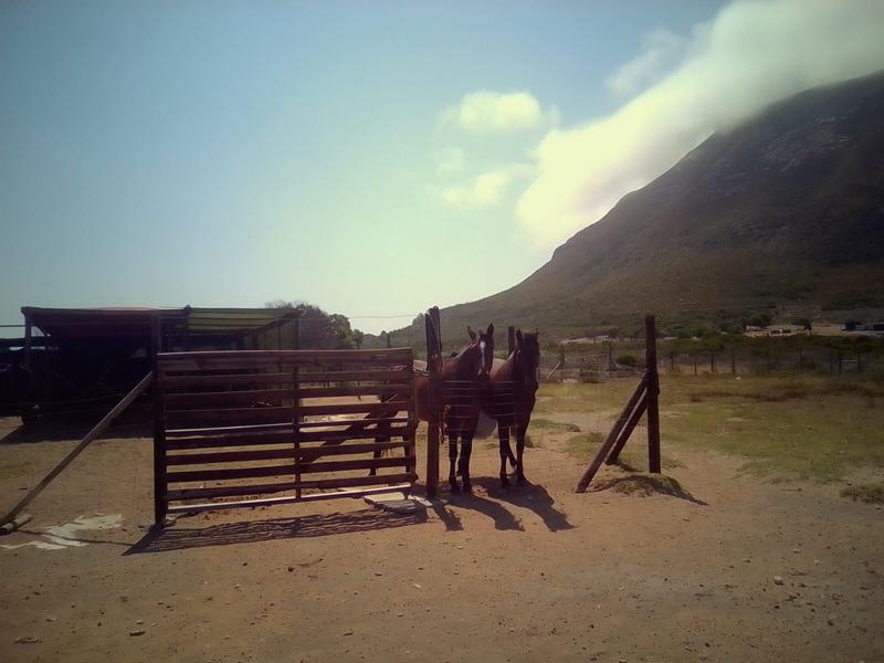 3 Bedroom Property for Sale in Franskraal Western Cape